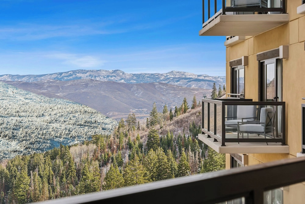 The St. Regis Deer Valley - photo 58
