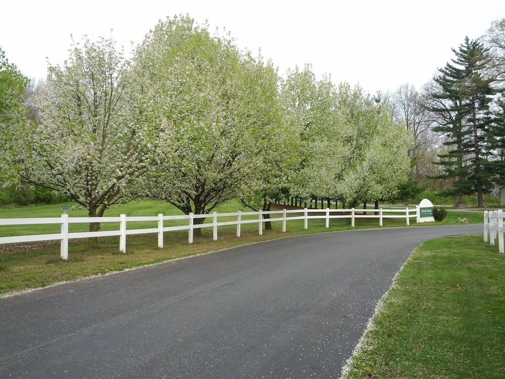 Brook Pointe Inn - photo 34