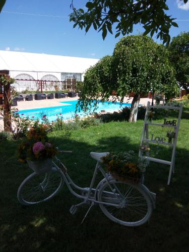 Casa Danielescu — Targu Jiu — photo 4