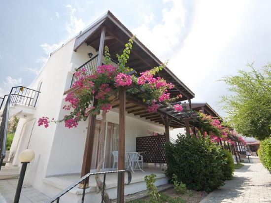 Citrus Tree Gardens in Kyrenia, Cyprus