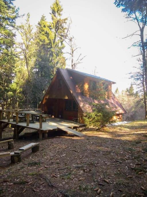 Roztomilá a utulná chata Azzy na samotě v lese. — hotel in Valasske Klobouky