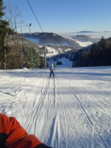 Chata Czarny Kot z jacuzzi i sauną in Janowice Wielkie, Poland