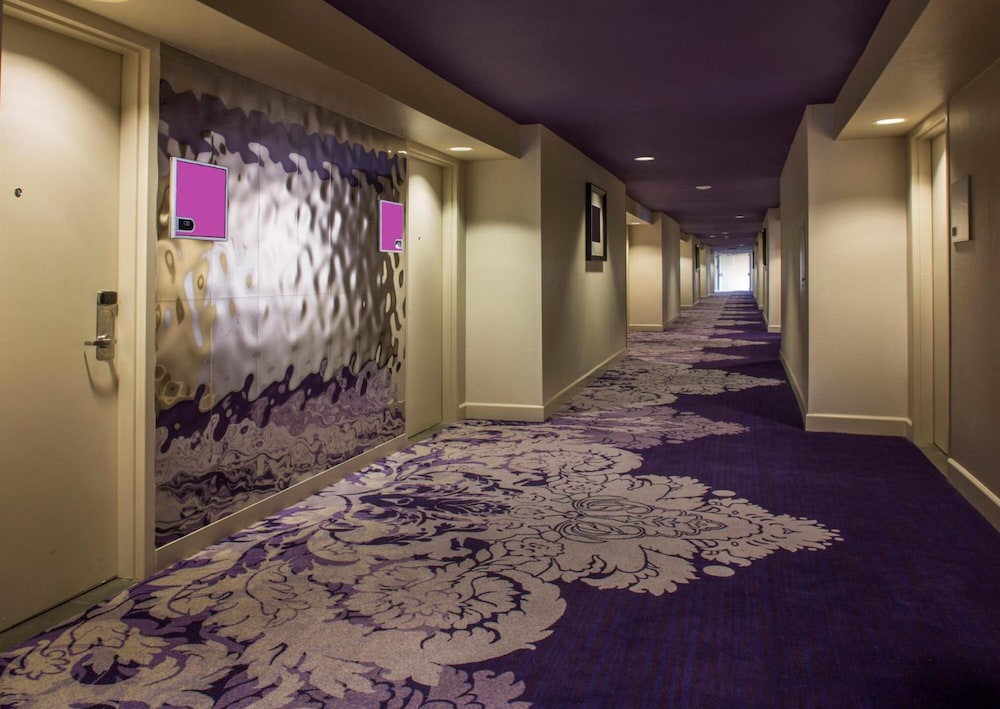 Hotel Zoso - photo 36