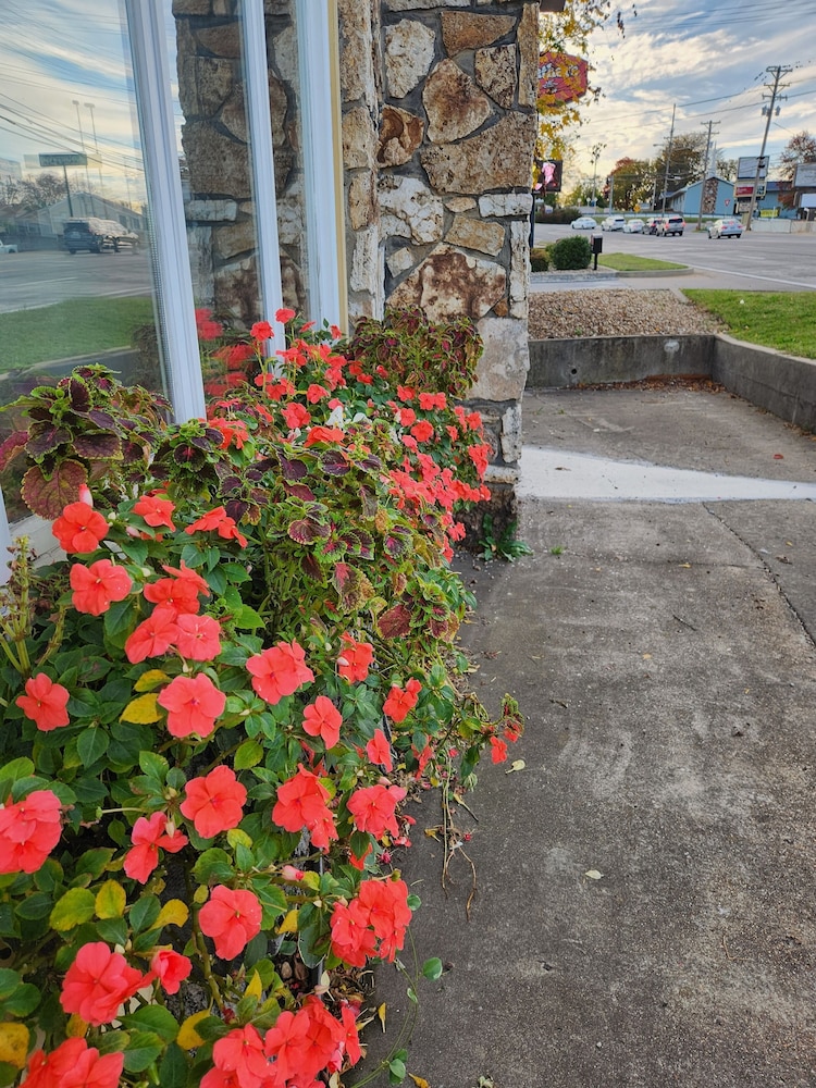 Homestead Motel - photo 48