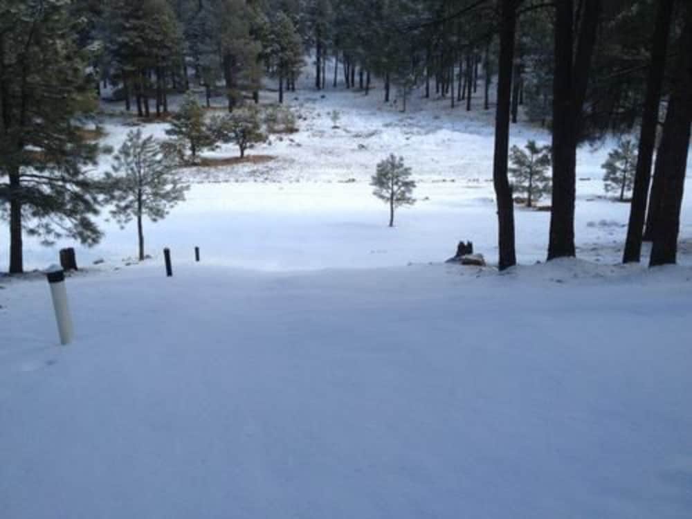 Arizona Mountain Inn and Cabins - photo 311