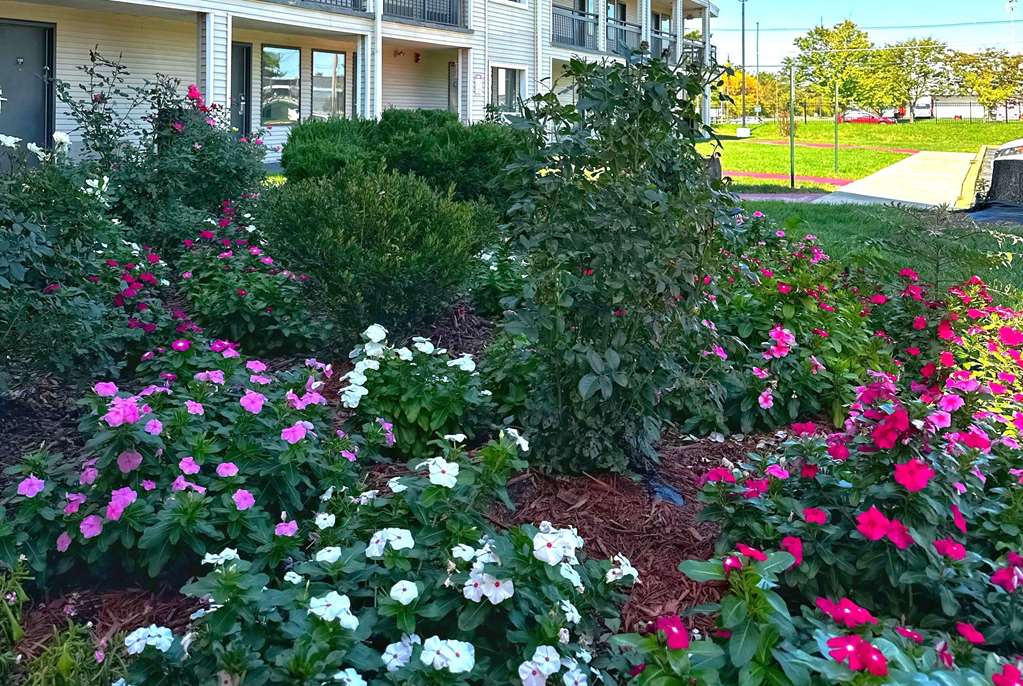 Baymont Inn and Suites by Wyndham Columbus Near OSU - photo 113
