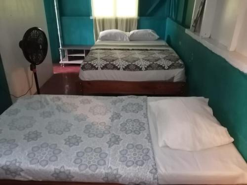 Amazona un pequeño mundo de corcobado serca del oceano in Puerto Jimenez, Costa Rica