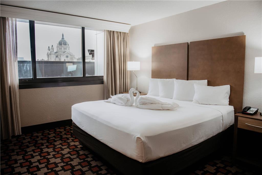 Radisson Hotel St. Paul Downtown - photo 11