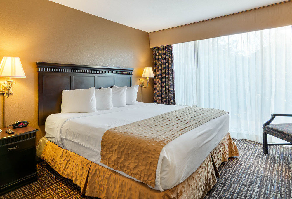 Clarion Inn & Suites By Hampton Convention Center - photo 13