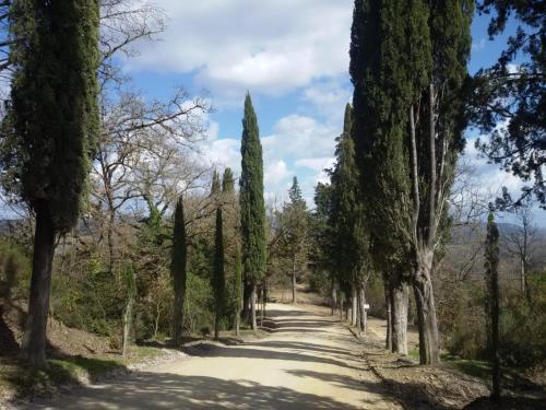 La Campesa - last minute hotel in Unknown City