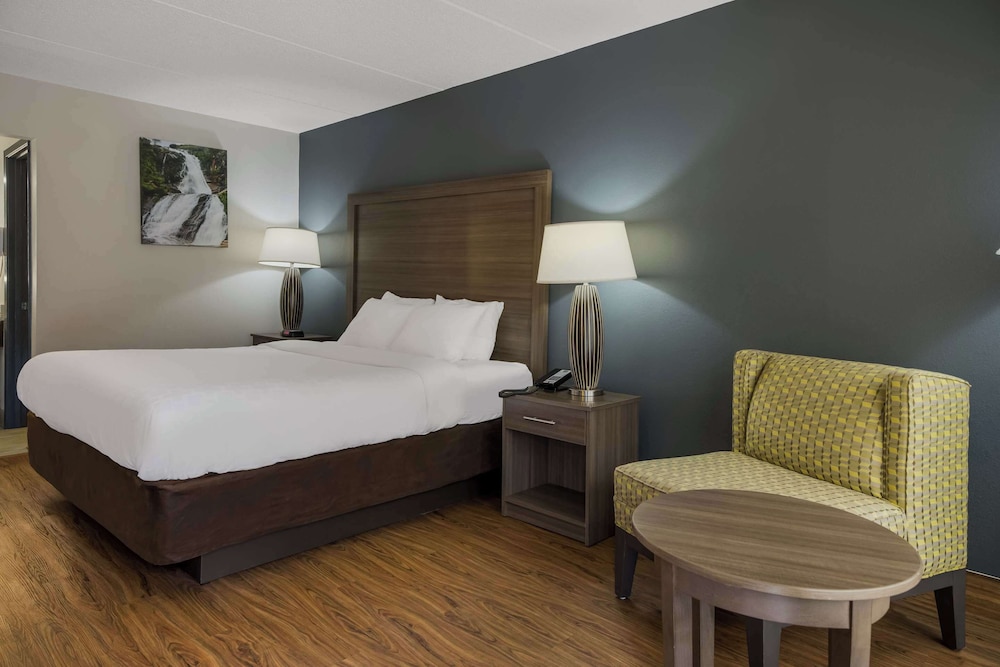 Quality Inn Asheville Airport - photo 20