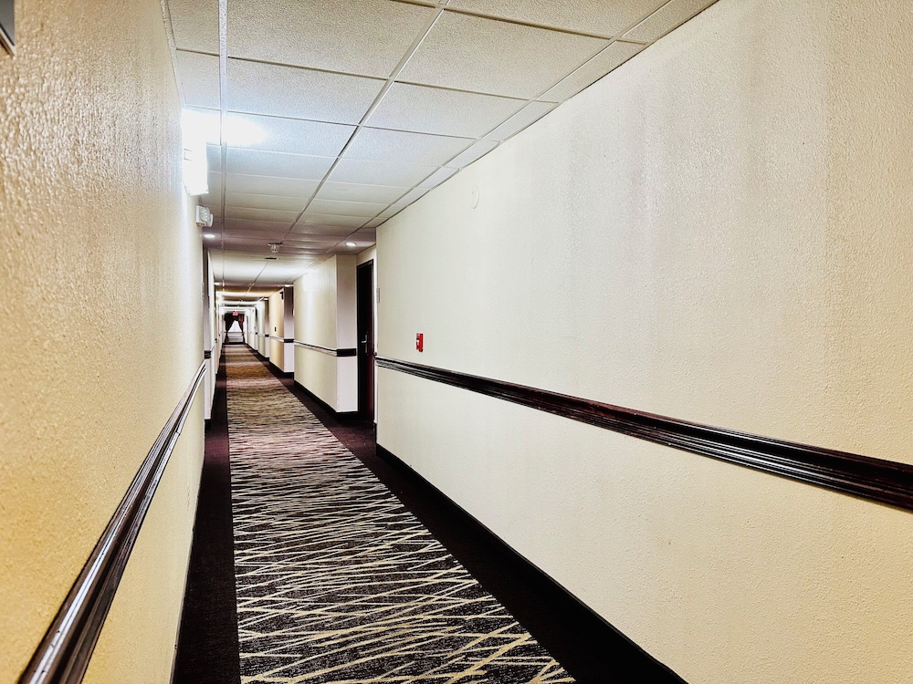 Red Roof Inn Hartford Vernon - photo 30