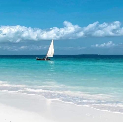 Zanzi Soul Luxury Boutique Hotel in Unknown City, Tanzania