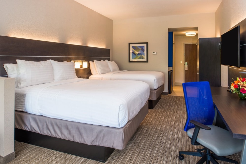 Holiday Inn Express & Suites Tampa North Wesley Chapel by IHG - photo 11