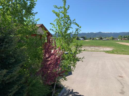 Teton Valley Motel - photo 11