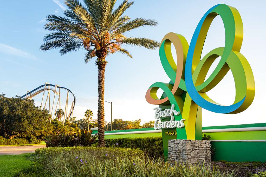 Hyatt Place Busch Gardens - photo 12