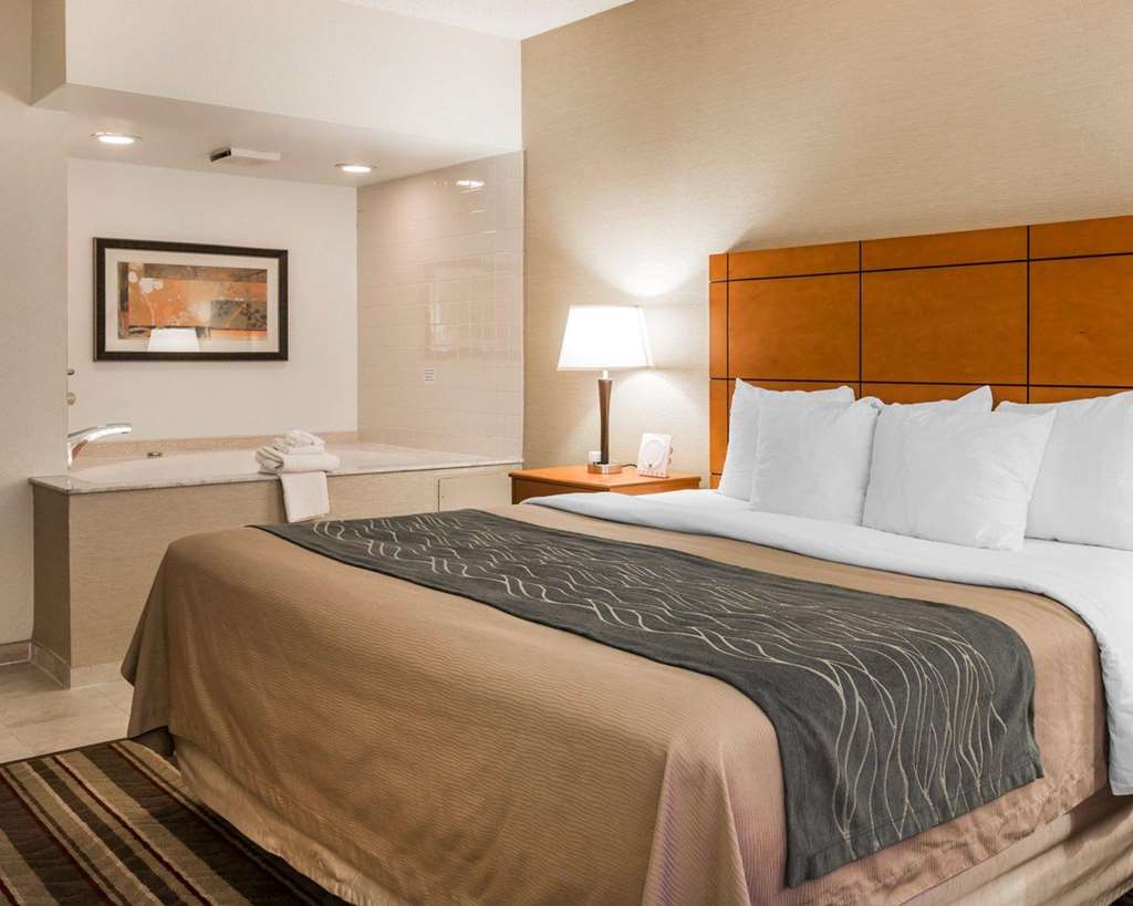 Comfort Inn Metro Airport - photo 17