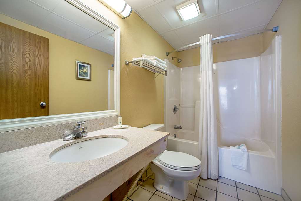 Quality Inn Near Six Flags St. Louis - photo 23