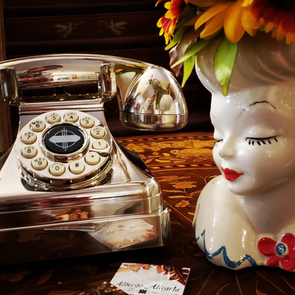 Albergo Allegria Hotel - photo 5