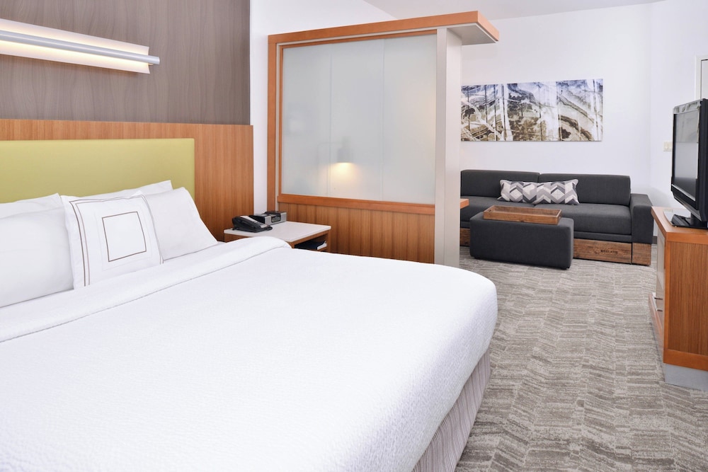 SpringHill Suites by Marriott Ashburn Dulles North - photo 7