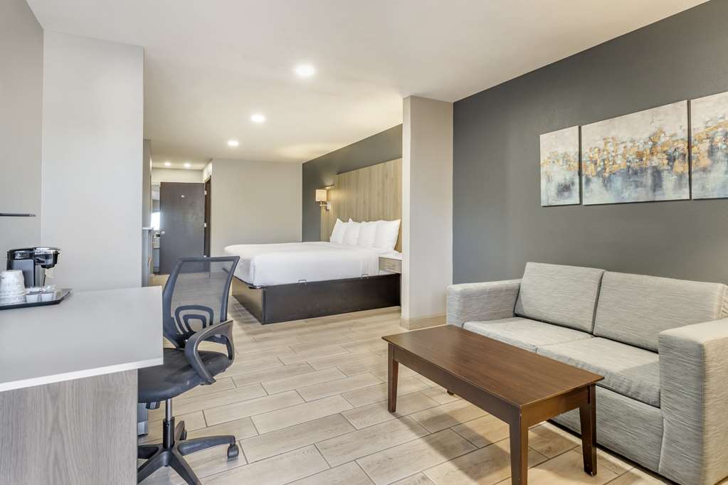 Best Western Plus Edinburg Inn & Suites - photo 3