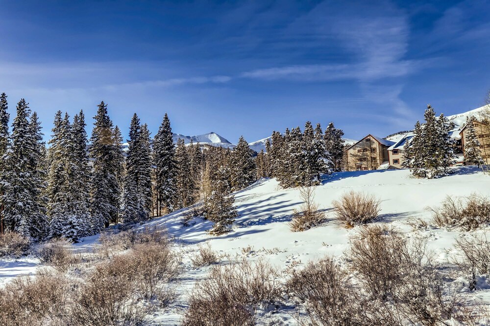 Pines 75 Townhome - photo 41
