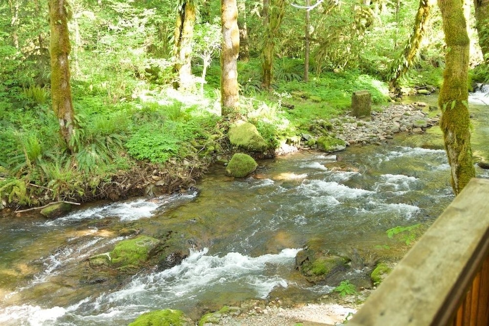 The Wayfarer Resort - photo 120