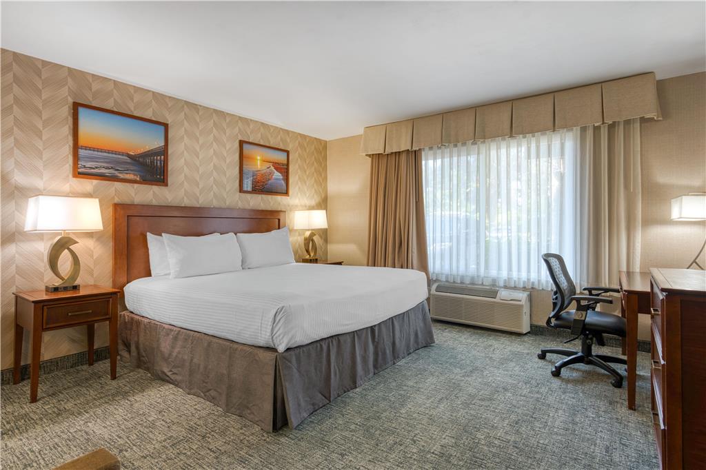 Best Western Seven Seas - photo 4