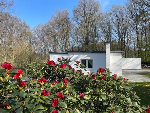 Dhünntalsperre Ferienhaus Urlaub in schönster Natur — hotel in Wermelskirchen