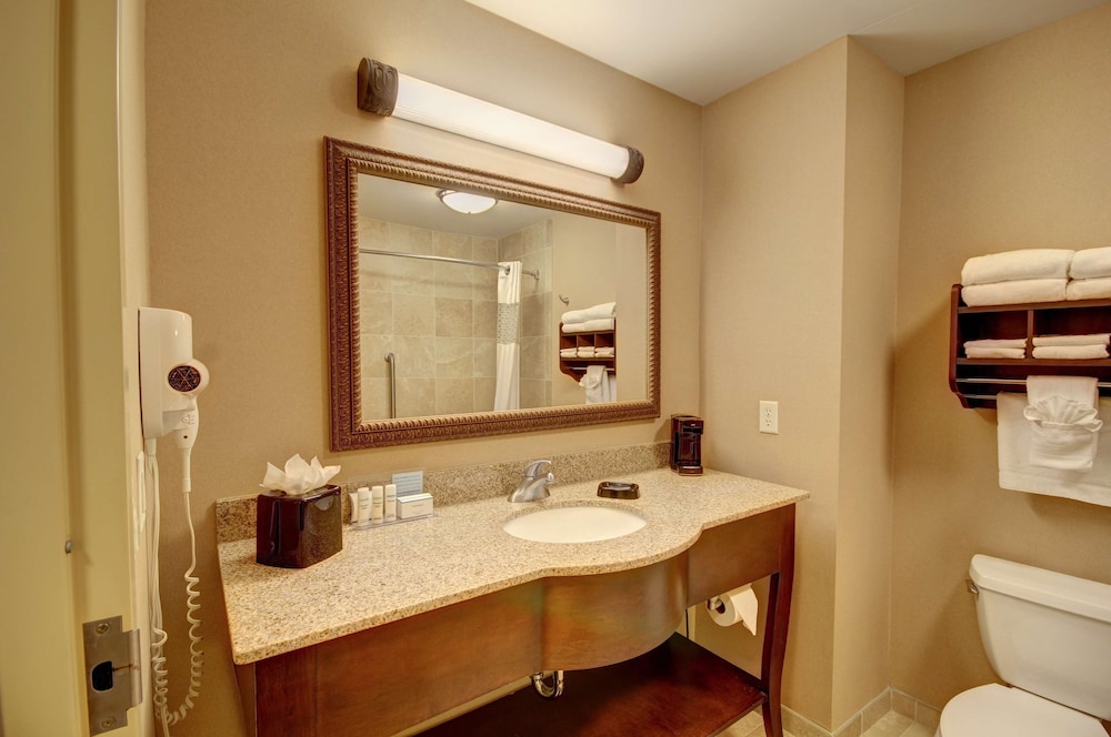 Hampton Inn & Suites Alexandria - photo 20