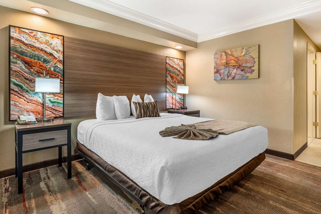 Best Western Plus Wine Country Inn & Suites - photo 28
