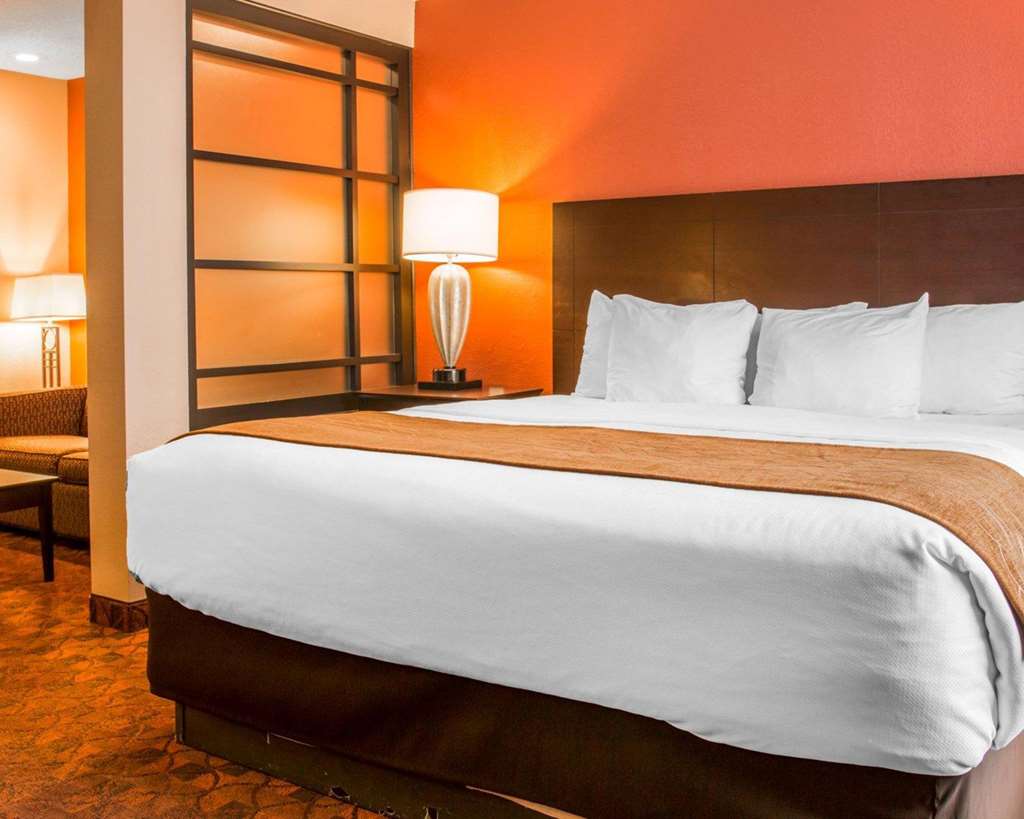 Comfort Inn & Suites and Conference Center - photo 11