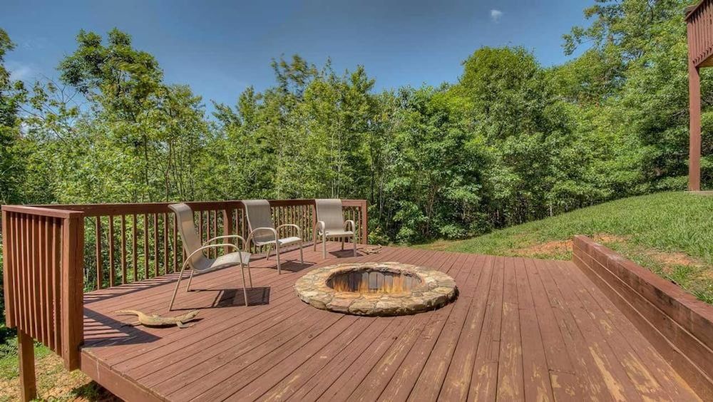 Tondelia in Blue Ridge, United States