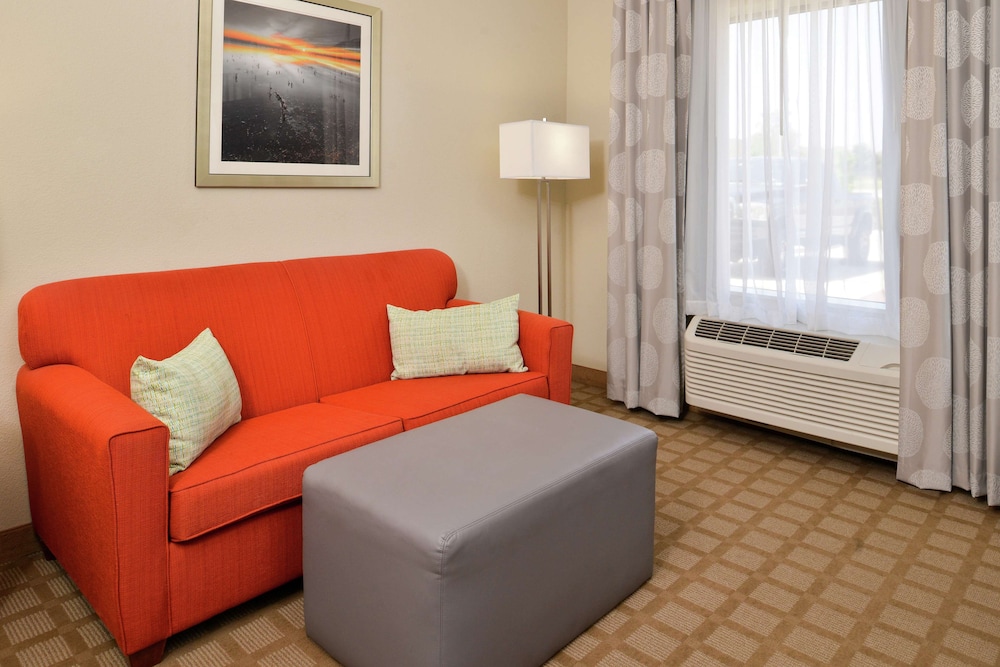 Hampton Inn & Suites Hutto Austin - photo 18