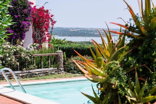 Villa Rosa Piscina privata — 4-Star Luxury Hotel in Stintino, Italy