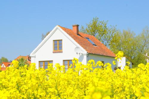 Historisches Inselhäuschen Surfer Kiter Familien in Fehmarn, Germany