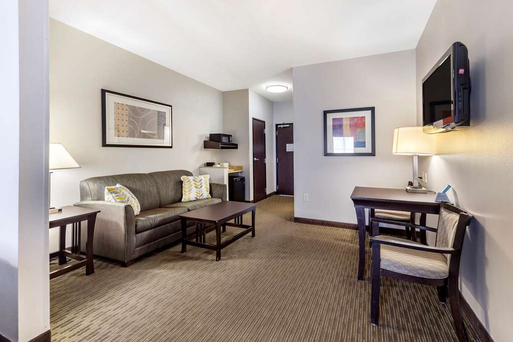 Comfort Inn & Suites Oklahoma City West I 40 - photo 17