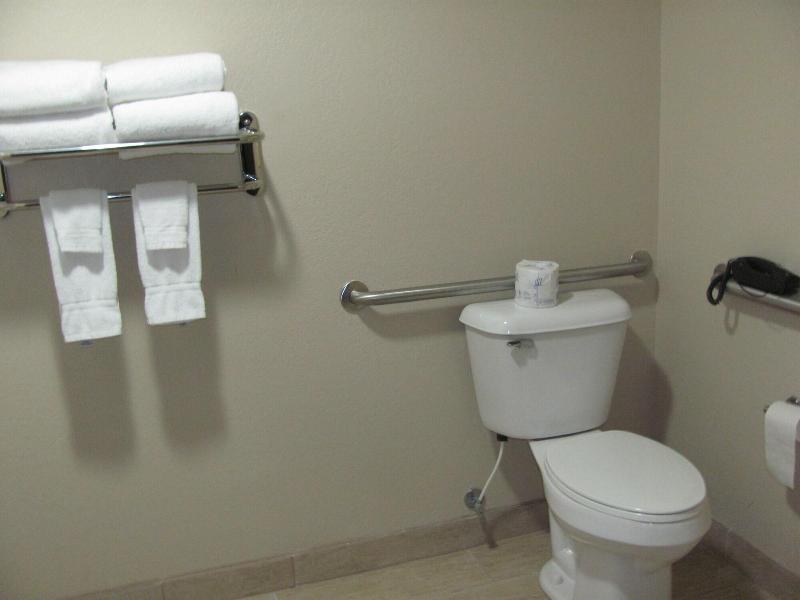 Cobblestone Inn and Suites Fort Dodge - photo 3