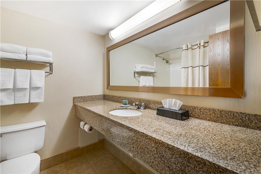 Best Western Royal Plaza Hotel & Trade Center - photo 15