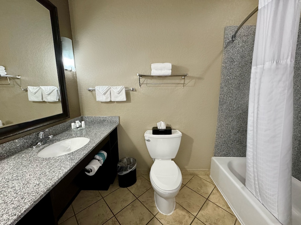 Holiday Inn San Antonio N Stone Oak Area by IHG - photo 15