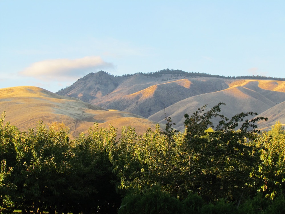 Warm Springs Inn & Winery - photo 106