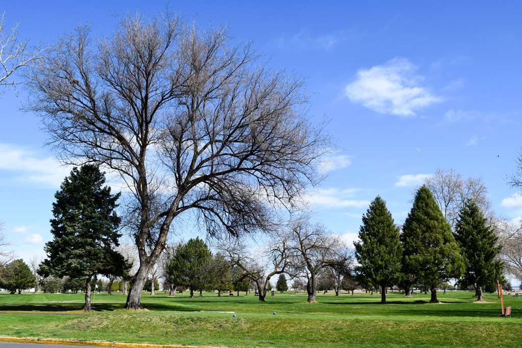 Quality Inn Umatilla Hermiston - photo 62