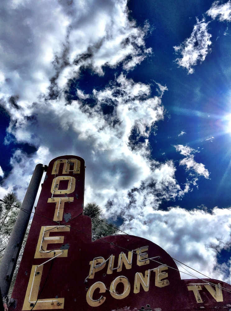 Piazza's Pine Cone Inn - photo 27