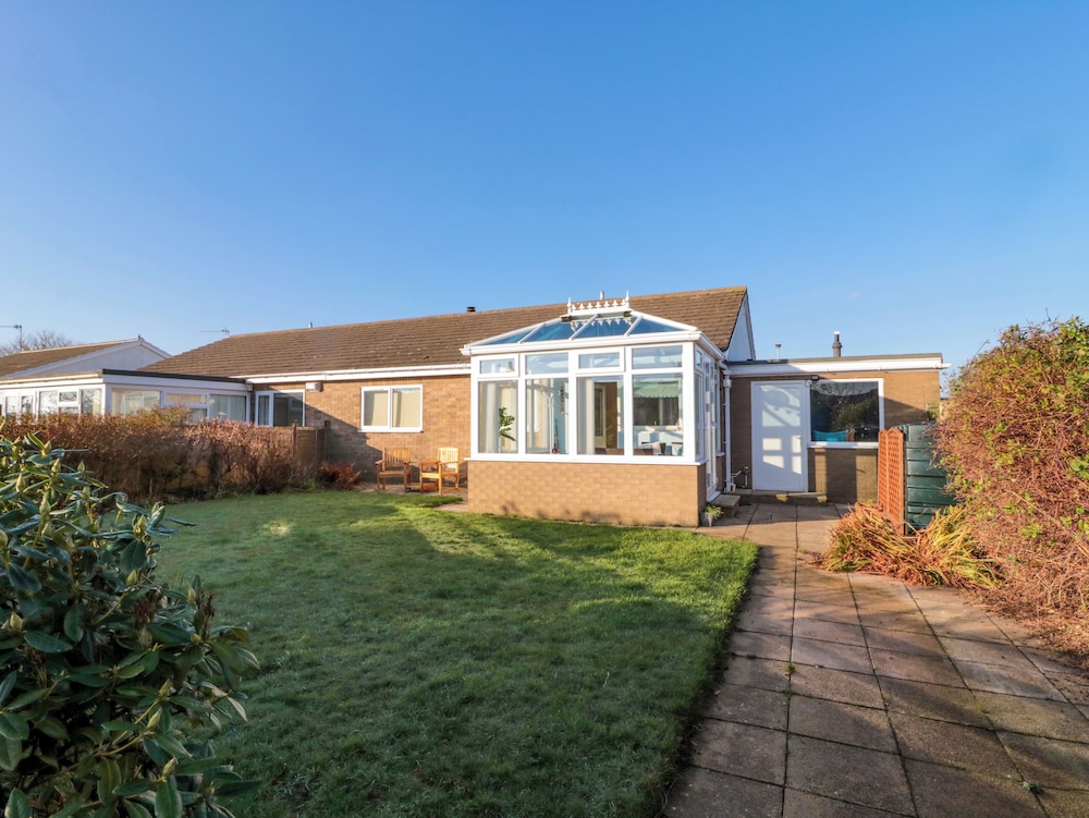 Barnacles in Alnwick, United Kingdom