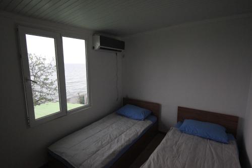 Hitas house