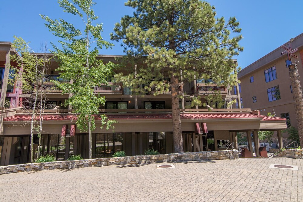 Modern Hotel Style Studio Timber Creek Lodge #210 by RedAwning - photo 21