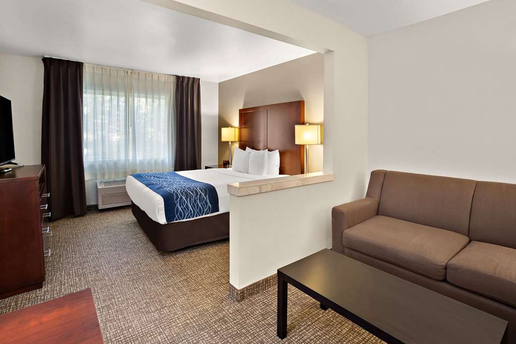 Comfort Inn Lacey Olympia - photo 26