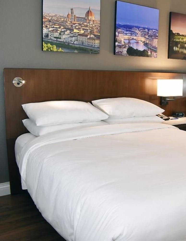 The Fontana Hotel - photo 9