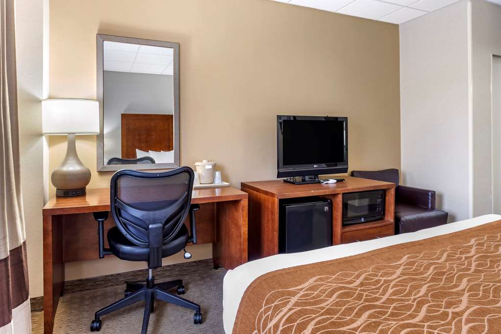 Comfort Inn Syosset Long Island - photo 19