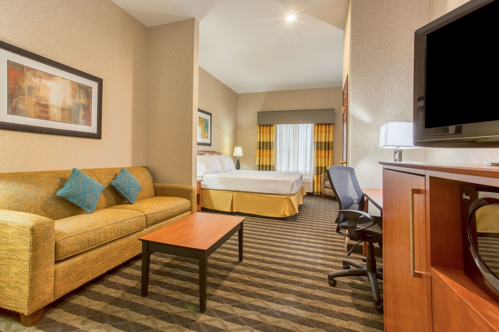 Holiday Inn Express Hotel & Suites Manteca by IHG - photo 13